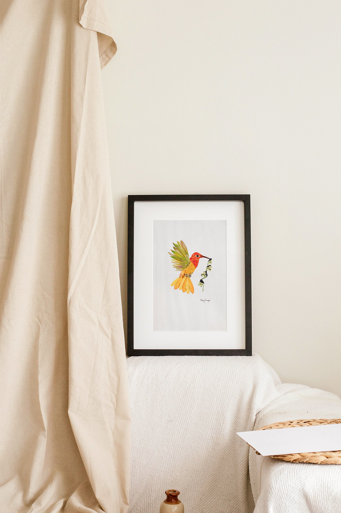 Picaflor Vibrante | Vibrant Hummingbird