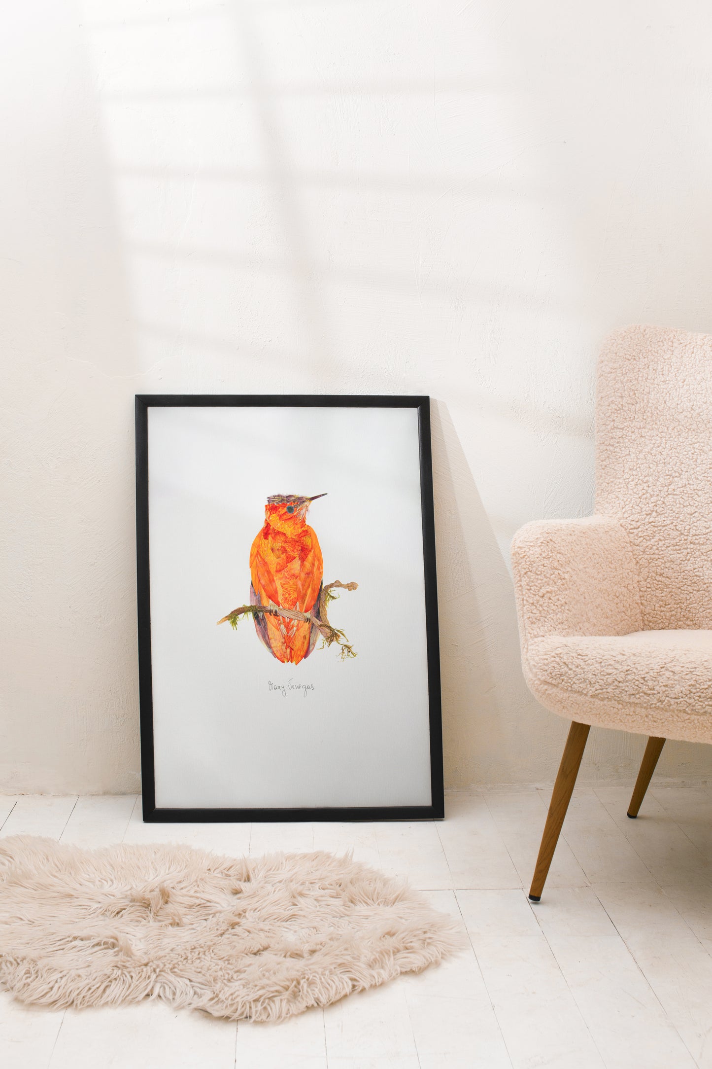 Picaflor de Juan Fernandez | Juan Fernandez Firecrown